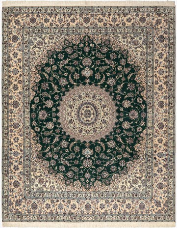 6' 10 x 8' 5 Nain Rug