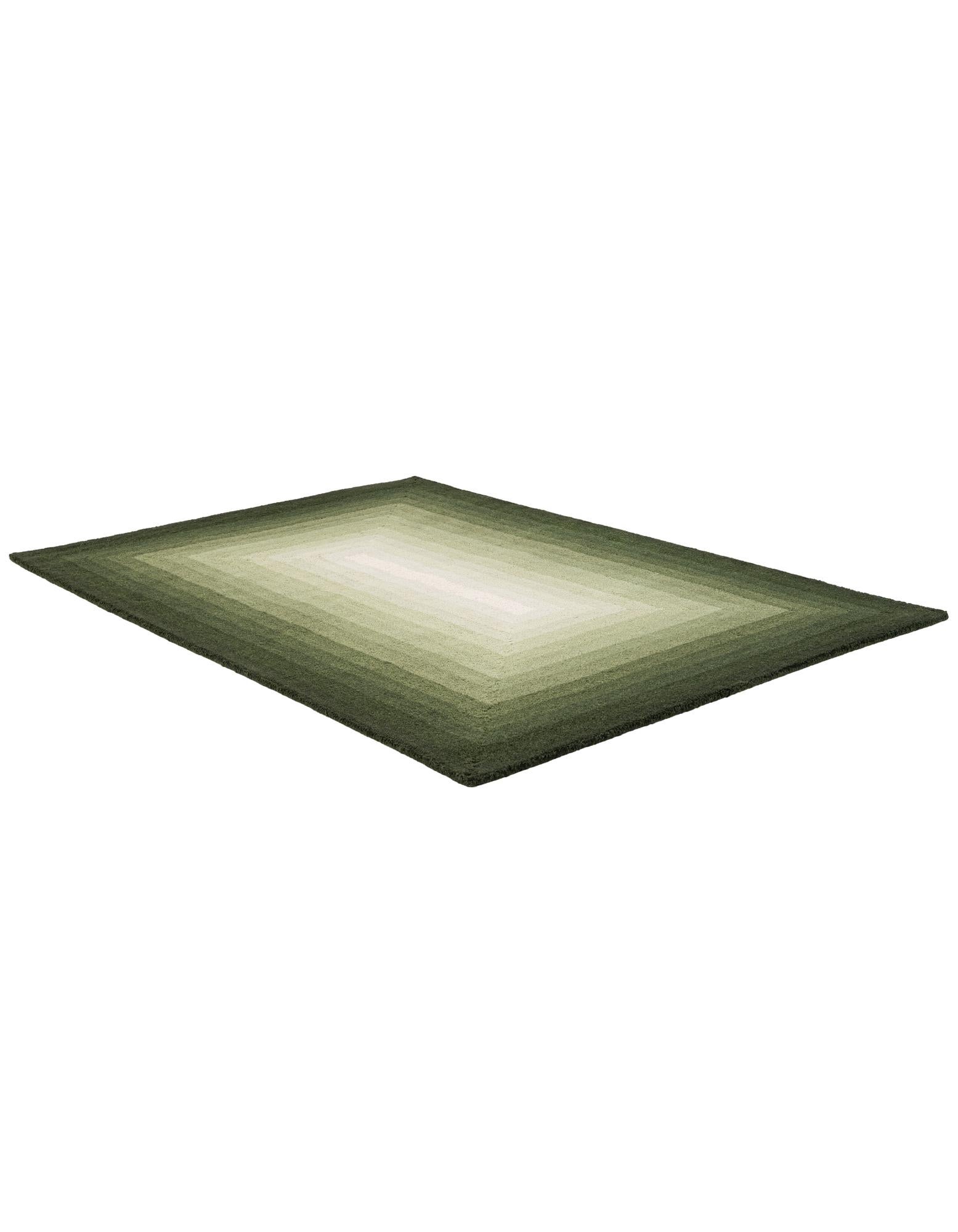 4' 1 x 6' 1 Ombre Wool Rug