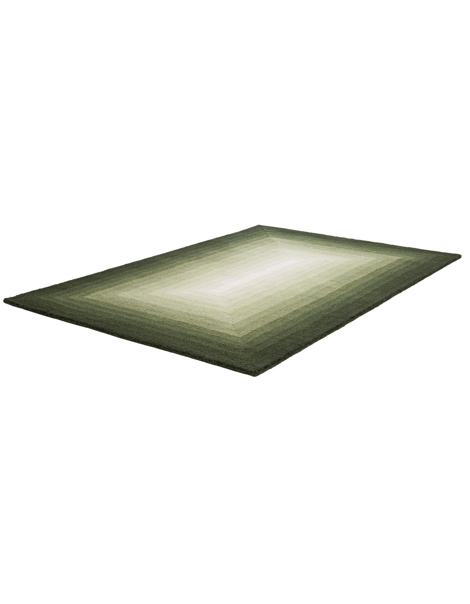 4' 1 x 6' 1 Ombre Wool Rug