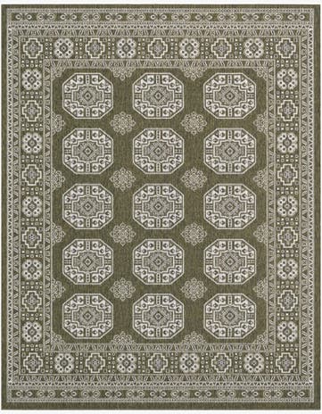 Green Easy-Clean Traditional Indoor / Outdoor Rug