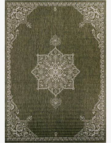 Green Easy-Clean Traditional Indoor / Outdoor Rug