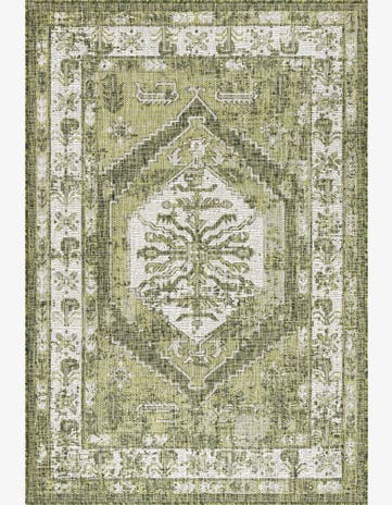 Green Easy-Clean Traditional Indoor / Outdoor Rug