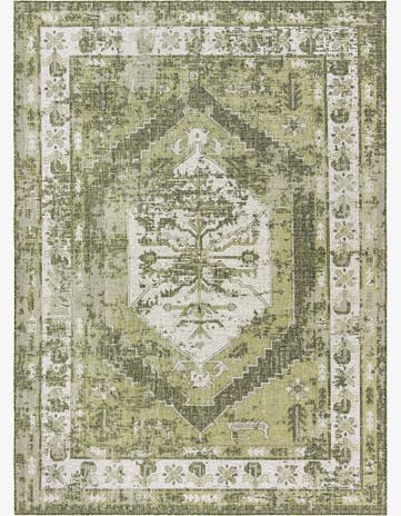 Green Easy-Clean Traditional Indoor / Outdoor Rug