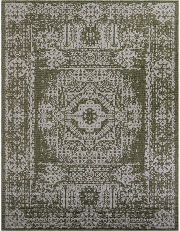Green Easy-Clean Traditional Indoor / Outdoor Rug
