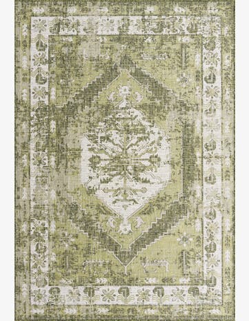 Green Easy-Clean Traditional Indoor / Outdoor Rug