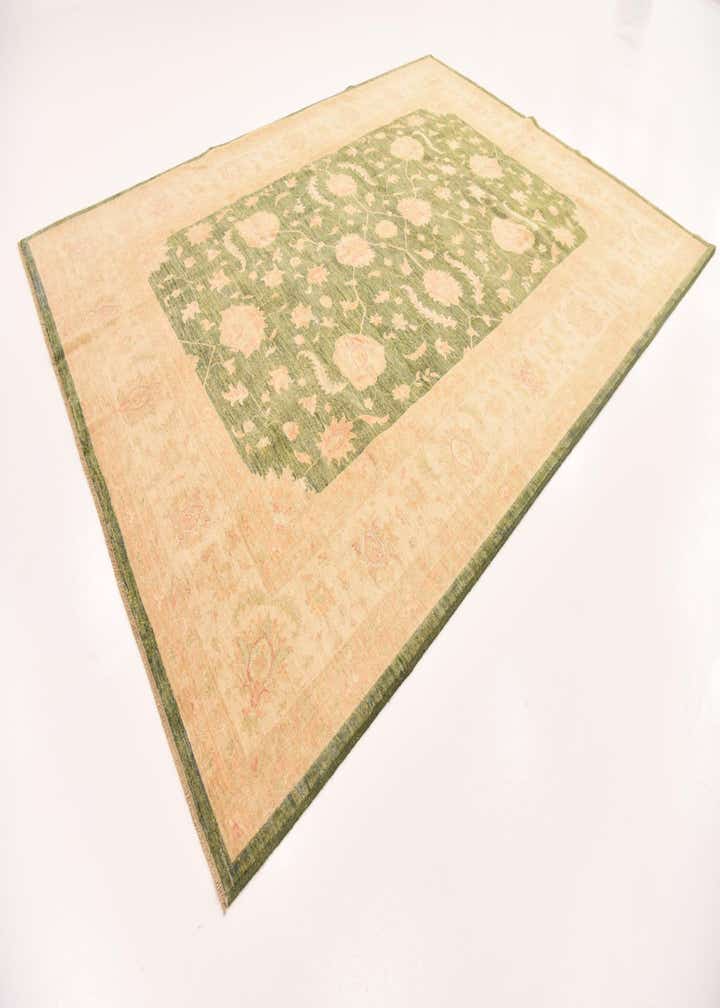 8' 3 x 11' 2 Hand Knotted Peshawar Ziegler Rug