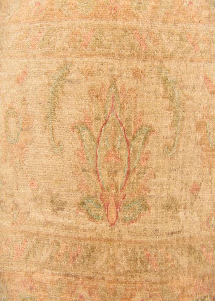 8' 3 x 11' 2 Hand Knotted Peshawar Ziegler Rug