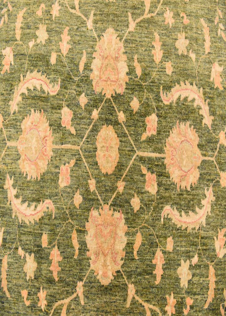 8' 3 x 11' 2 Hand Knotted Peshawar Ziegler Rug