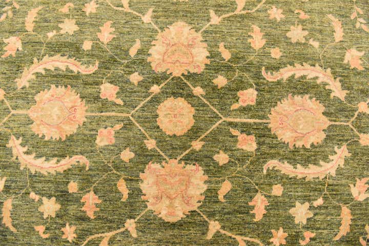 8' 3 x 11' 2 Hand Knotted Peshawar Ziegler Rug