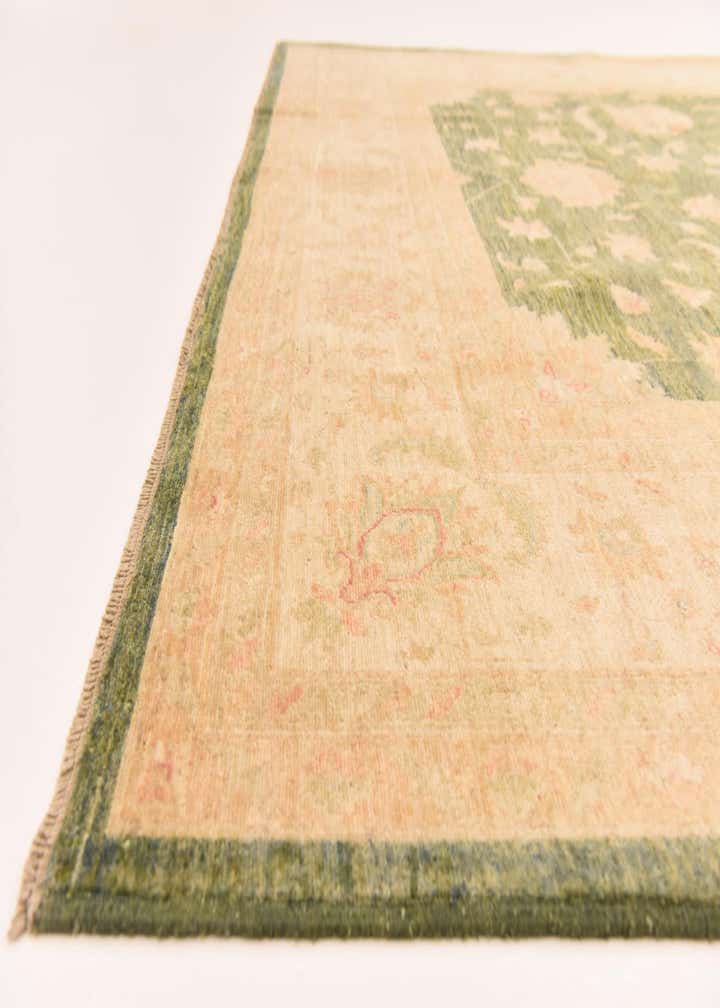 8' 3 x 11' 2 Hand Knotted Peshawar Ziegler Rug