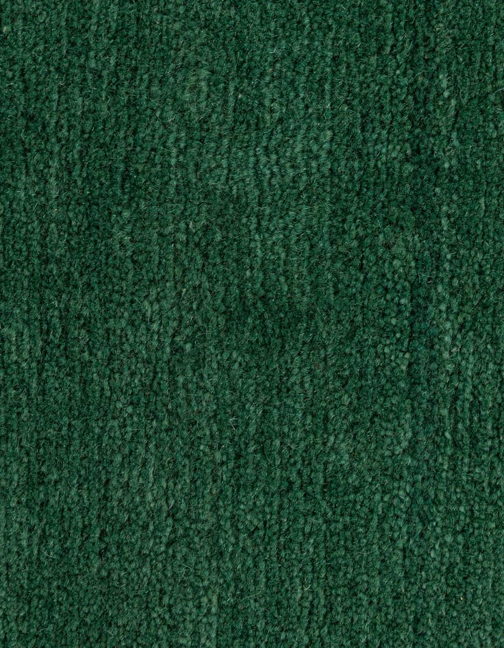 Detail image of 2' 7 x 4' 9  Hand Knotted Tibet Wool Rug