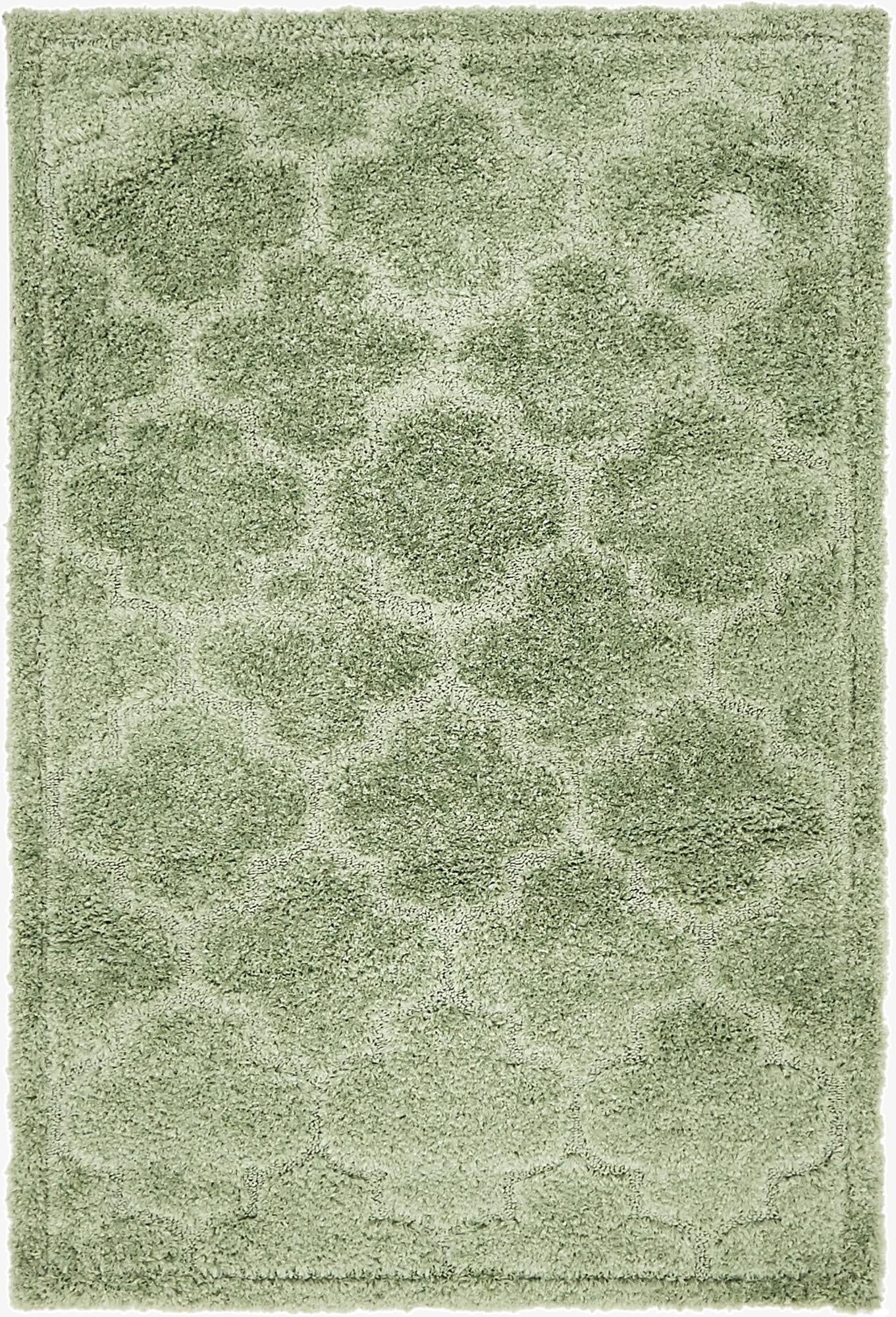 4' x 6' Trellis Shag Rug
