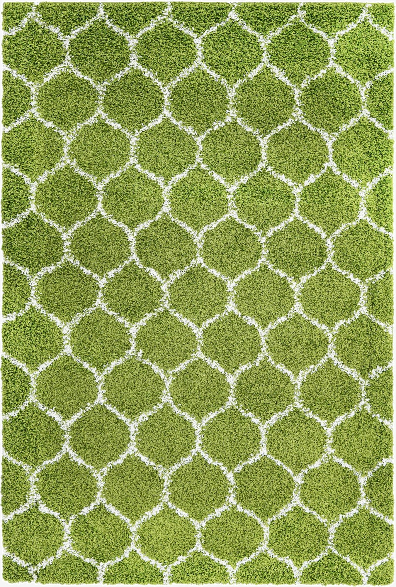 6' x 9' Trellis Shag Rug