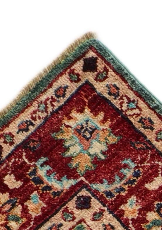 2' 9 x 9' 10 Hand Knotted Ariana Ziegler Runner Rug
