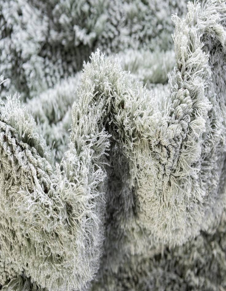 Detail image of 2' x 6' 9 Botanical Shag Runner Rug