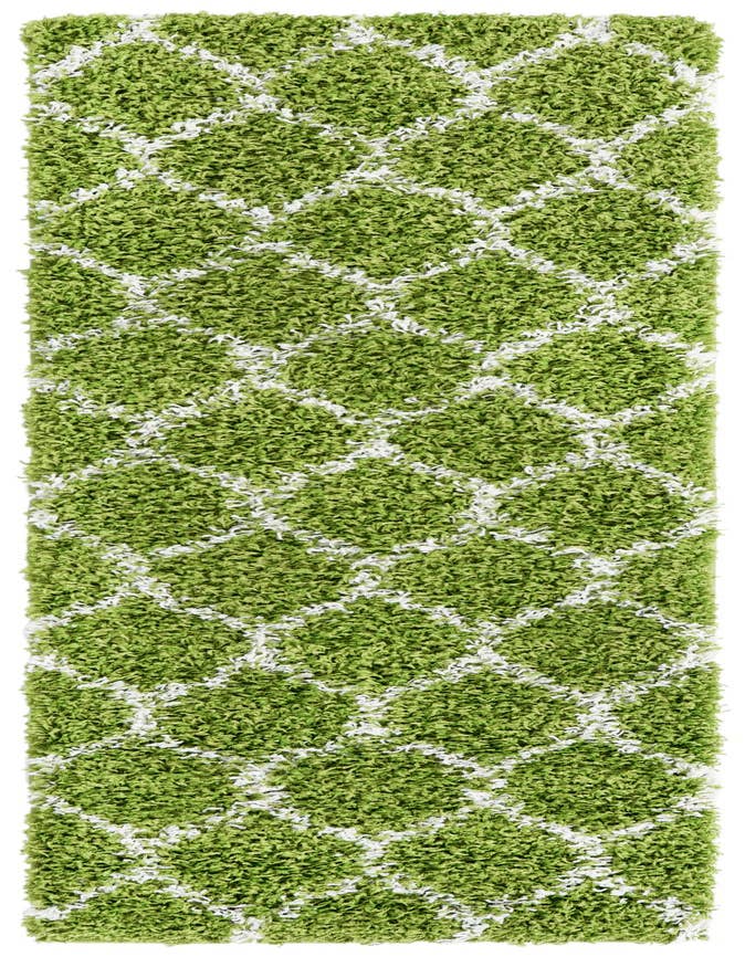 Detail image of 2' x 6' Trellis Shag Runner Rug