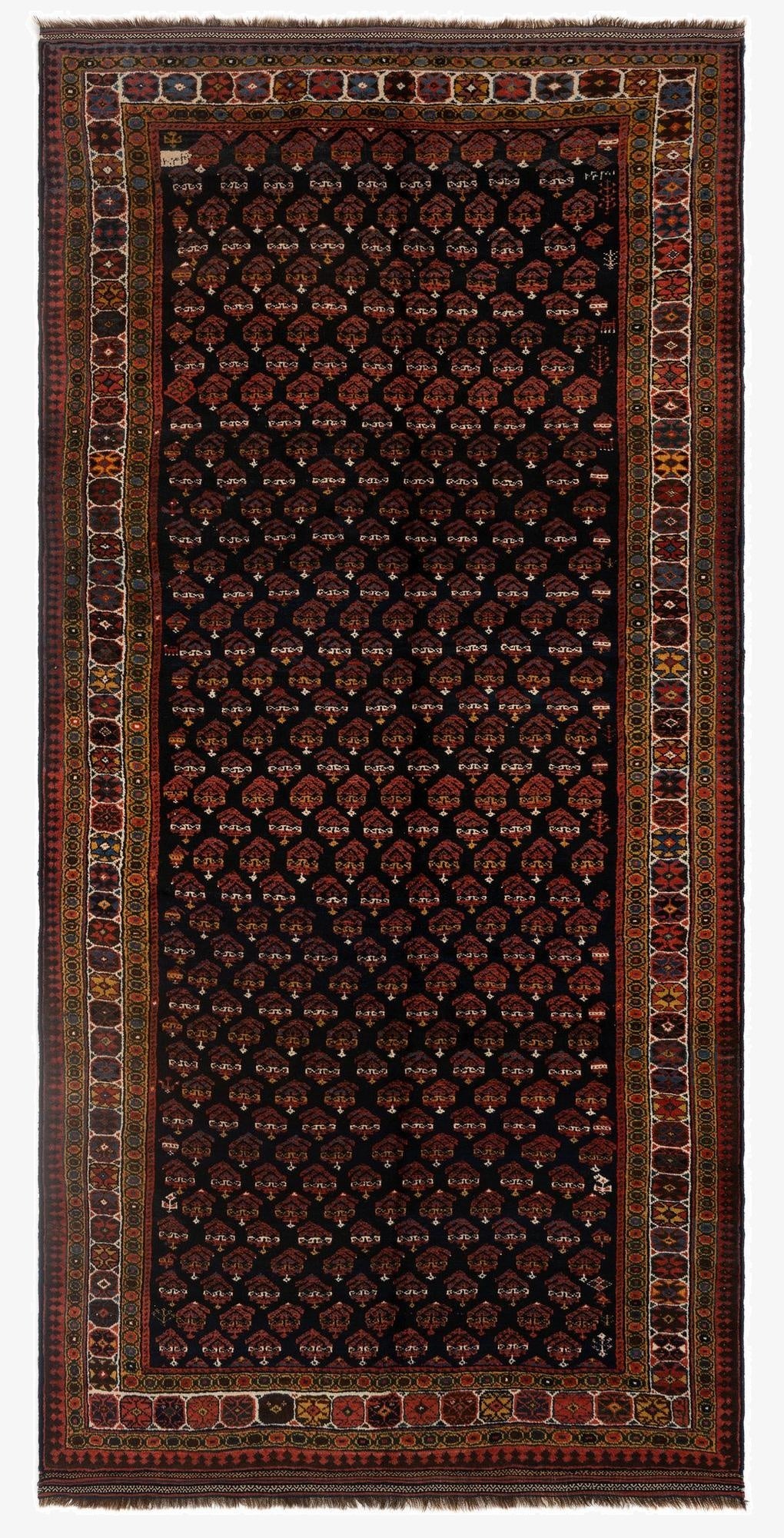 5' 3 x 10' 7 Veramin Wool Runner Rug