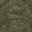 Color variant