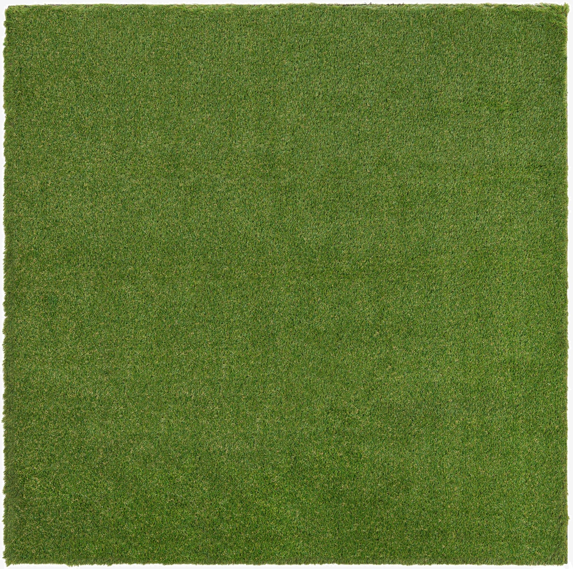 7' 10 x 7' 10  Washable Grass Indoor / Outdoor Square Rug