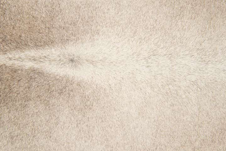 6' 1 x 6' 9 Cowhide Leather Rug