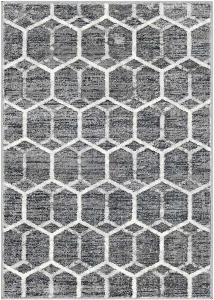 3' 3 x 5' 3 Lattice Trellis Rug