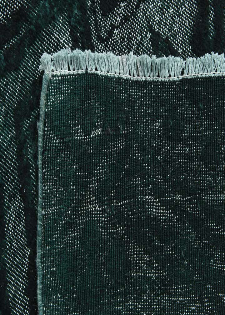 8' 9 x 12' 2 Hand Knotted Darya Wool Rug