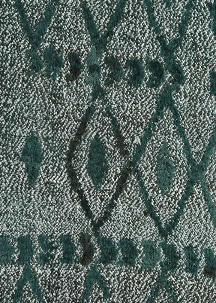 2' 11 x 5' 4 Hand Knotted Darya Wool Rug