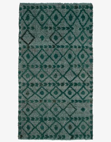 2' 11 x 5' 4 Hand Knotted Darya Wool Rug