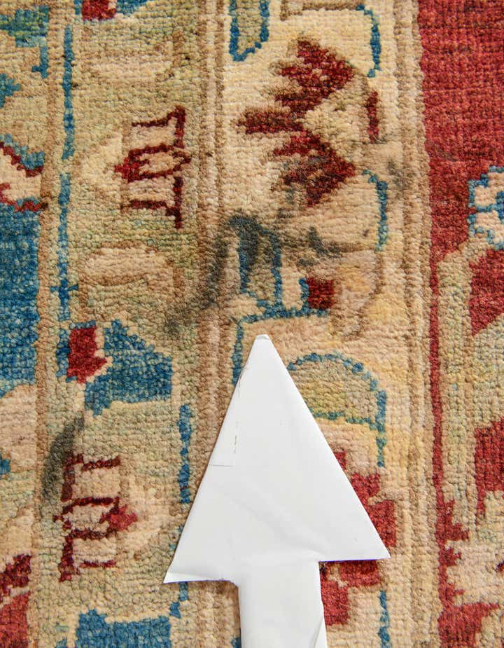 12' 3 x 17' Hand Knotted Peshawar Ziegler Rug