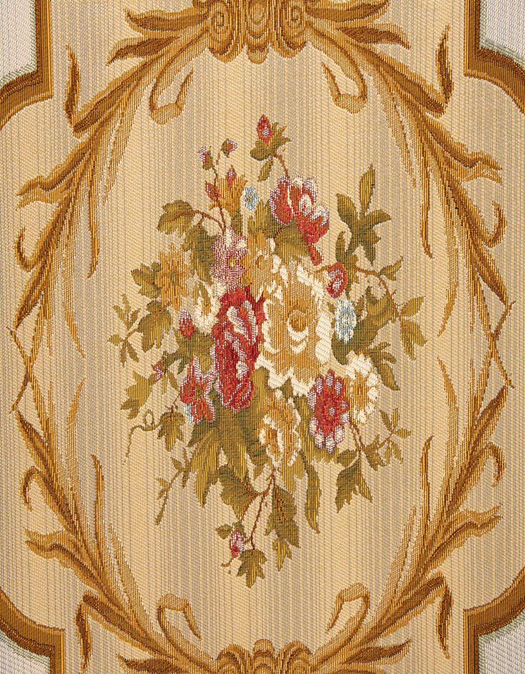 Detail image of 5' 2 x 7' 7  Washable Traditional Indoor / Outdoor Rug