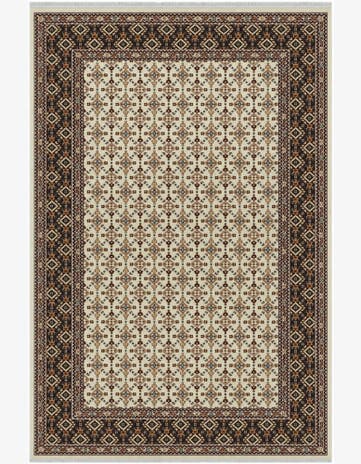 4' x 6' Nain Design Rug