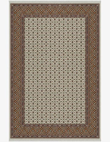 4' x 6' Nain Design Rug