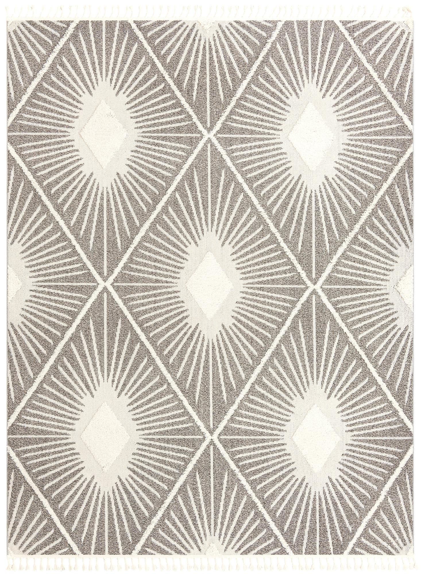 9' 6 x 14' 3 Boho Rug