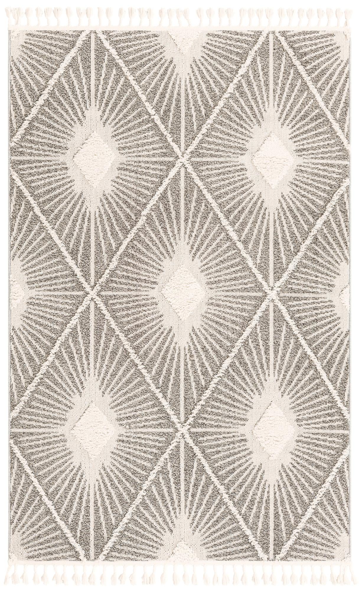 4' x 6' Boho Rug