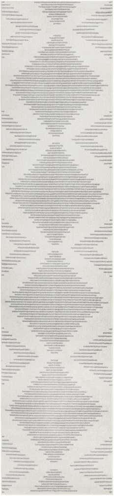 3' 3 x 14' Kai Runner Rug