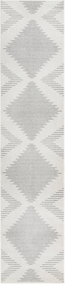 Detail image of 3' 3 x 14' Kai Runner Rug