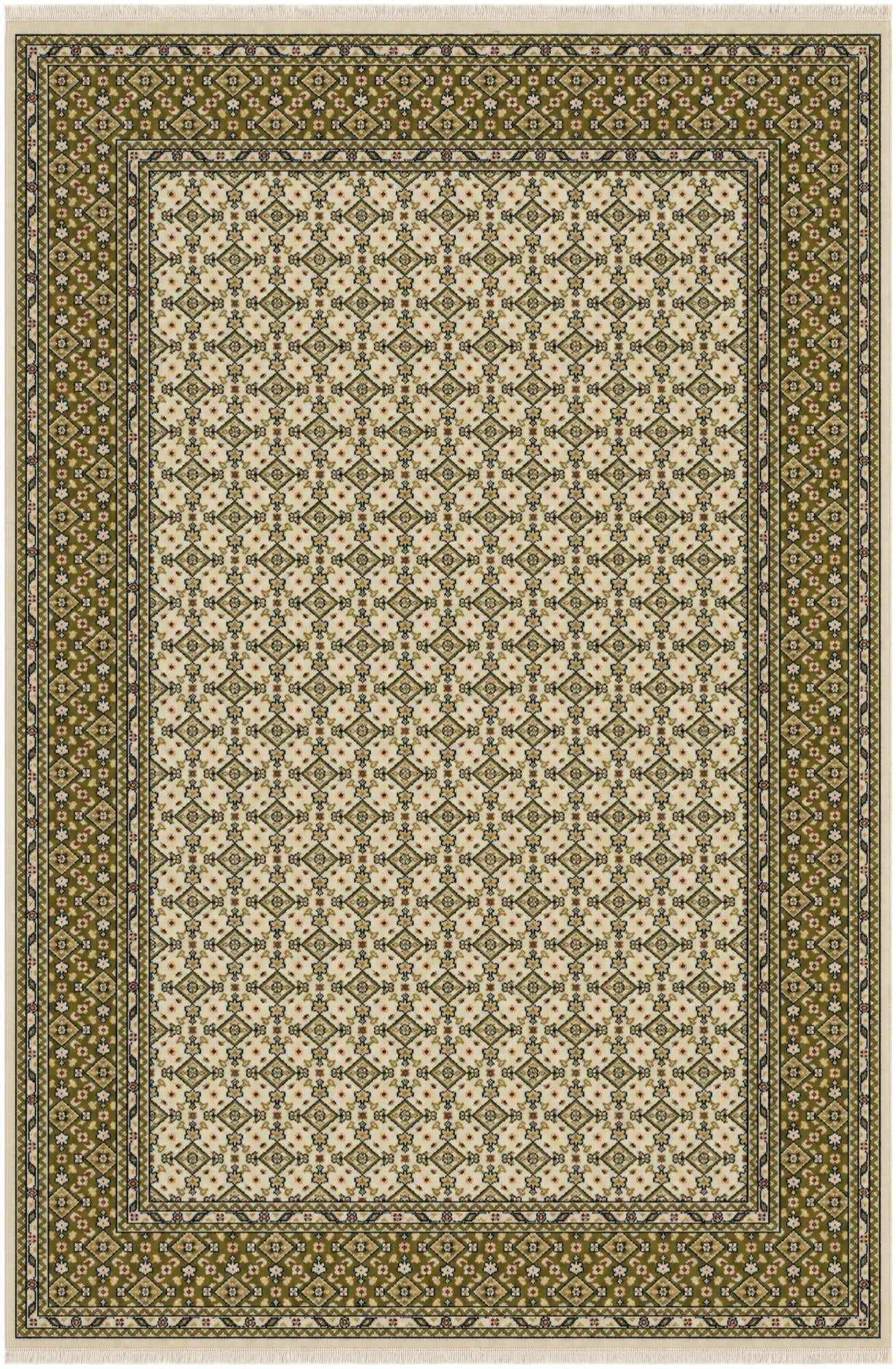 4' x 6' Nain Design Rug