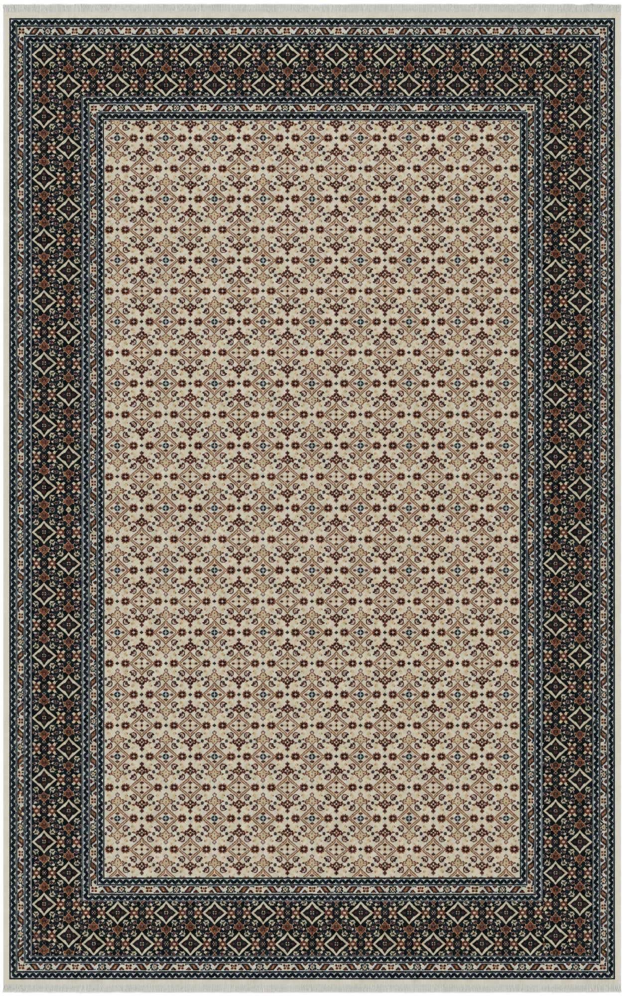 5' 3 x 8' Nain Design Rug