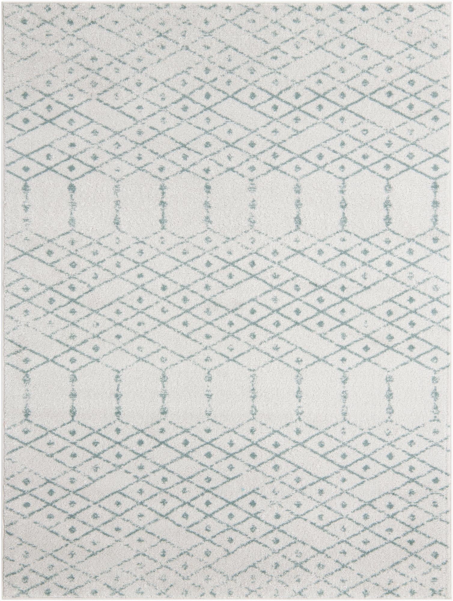 9' x 12' Paxon Trellis Rug