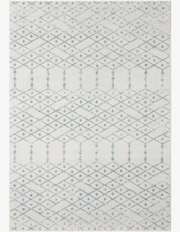 10' x 14' Paxon Trellis Rug