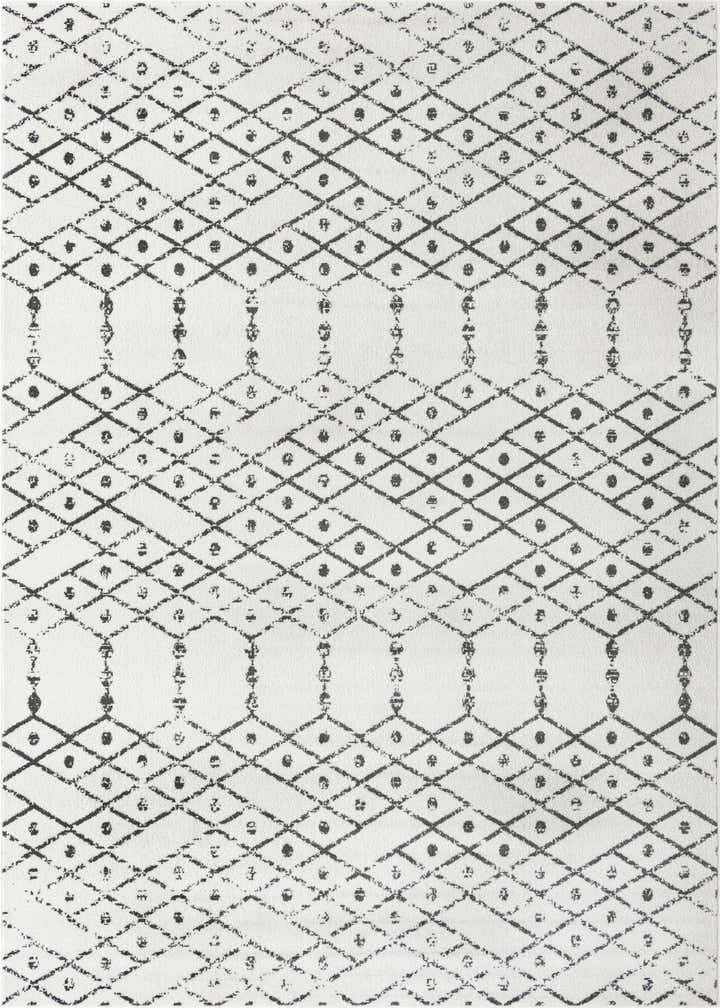 10' x 14' Paxon Trellis Rug