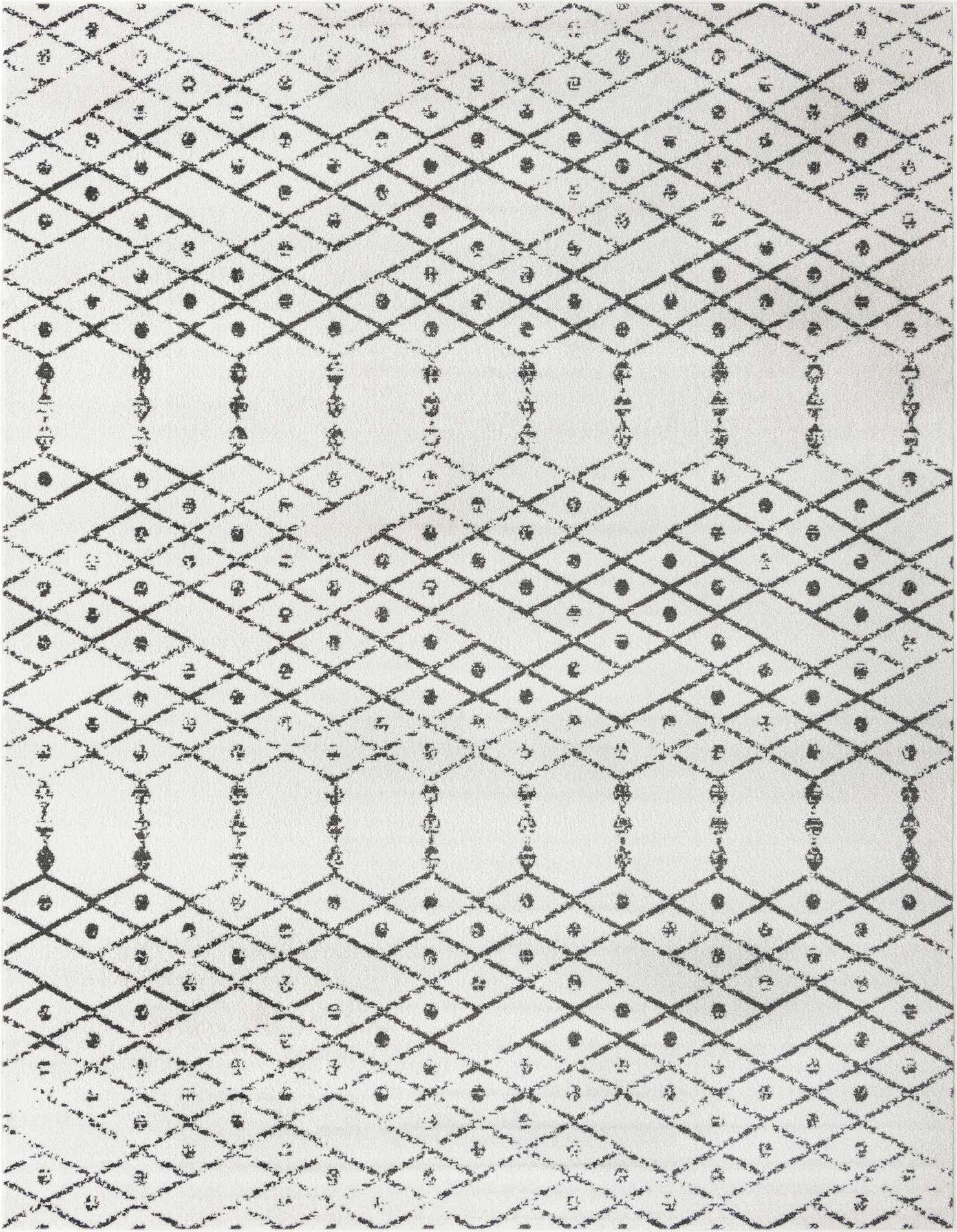 10' x 14' Paxon Trellis Rug