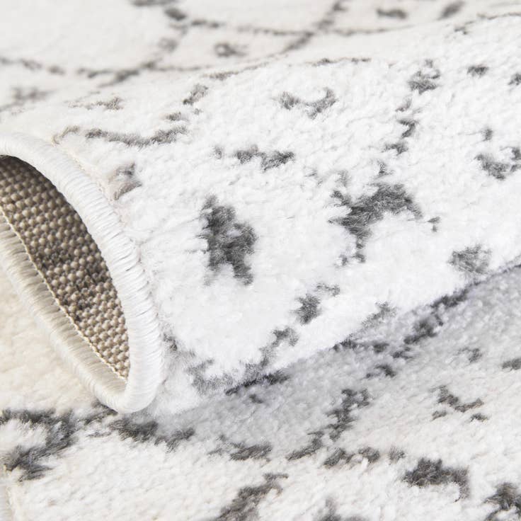 Detail image of 4' x 6' Paxon Trellis Rug
