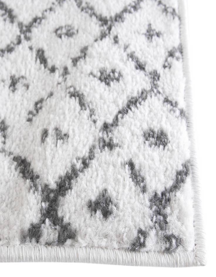 Detail image of 4' x 6' Paxon Trellis Rug