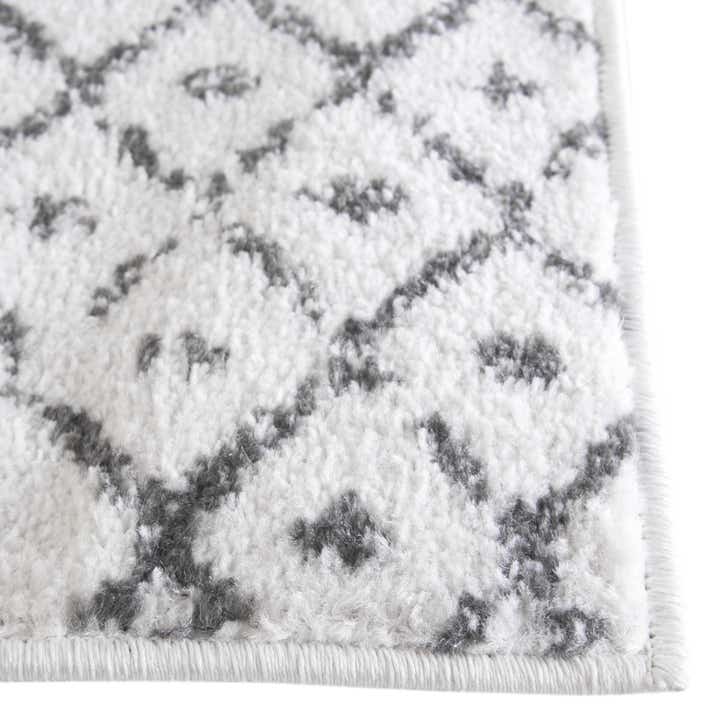 4' x 6' Paxon Trellis Rug