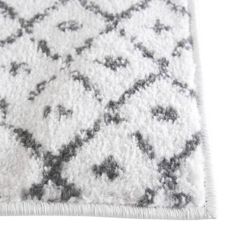 Detail image of 4' x 6' Paxon Trellis Rug