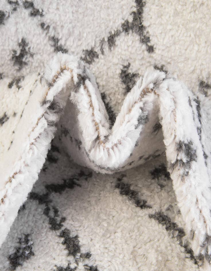 Detail image of 10' x 14' Paxon Trellis Rug