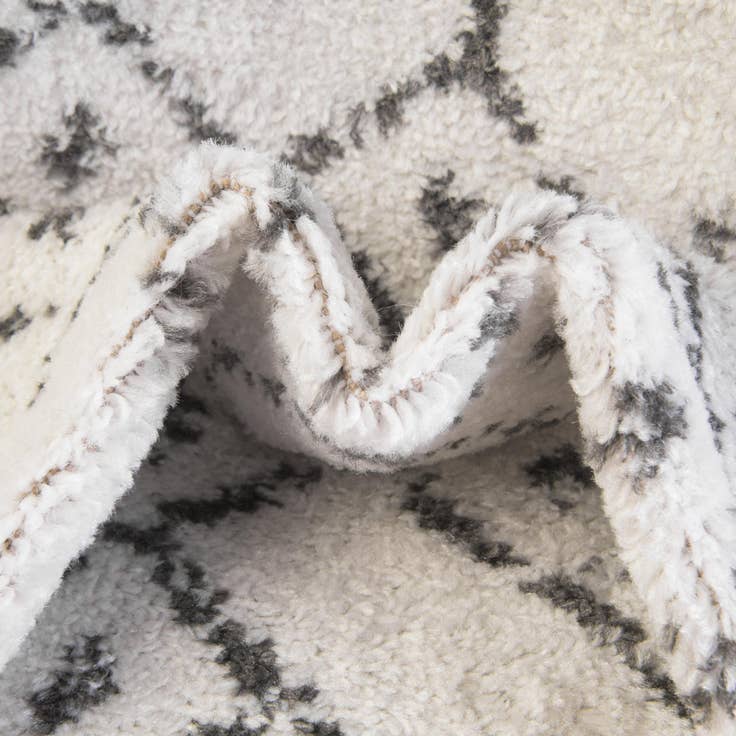 Detail image of 4' x 6' Paxon Trellis Rug