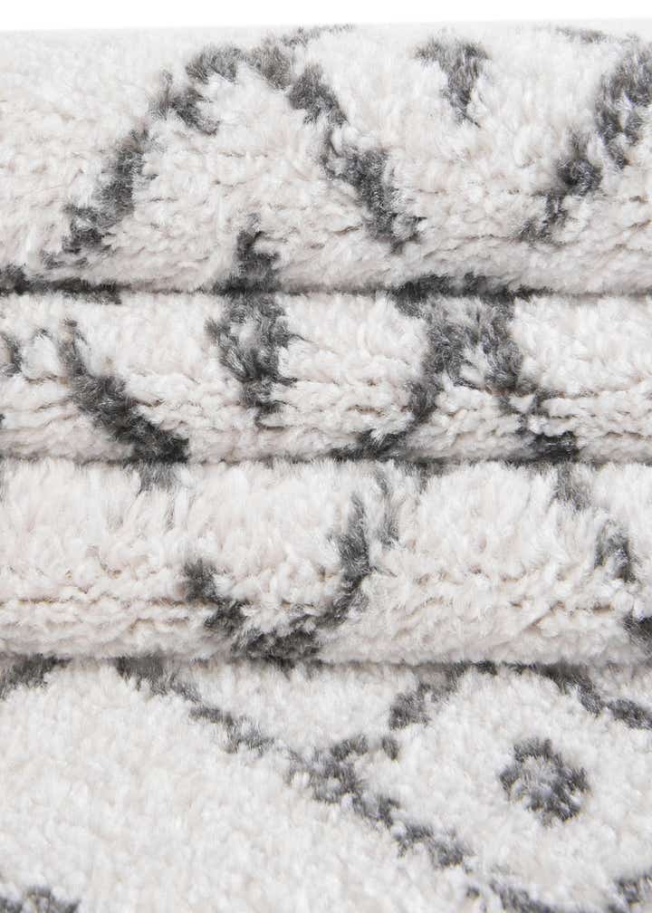 4' x 6' Paxon Trellis Rug
