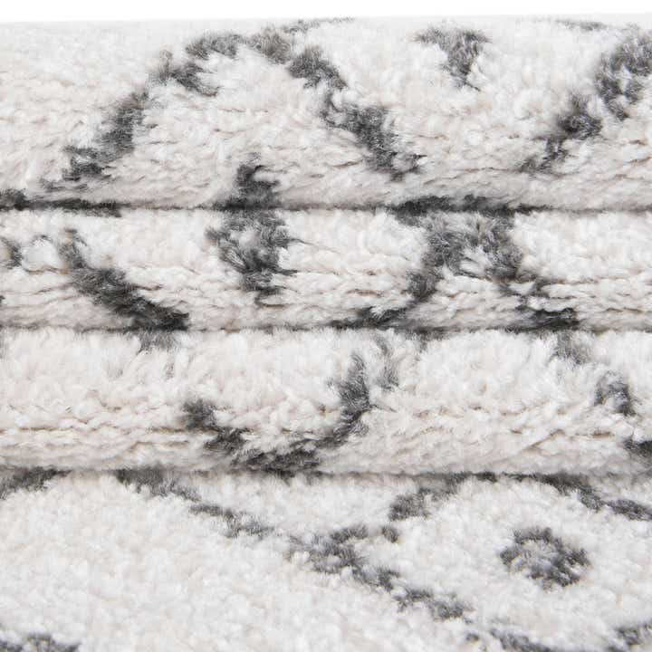 4' x 6' Paxon Trellis Rug